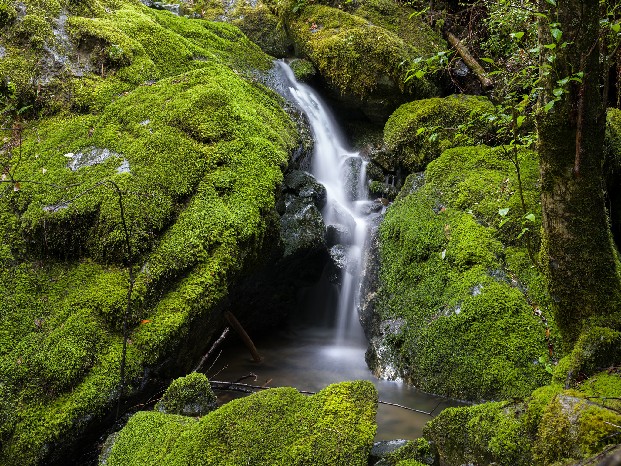 Pentax 645Z sample photo. Stream, south fork photography