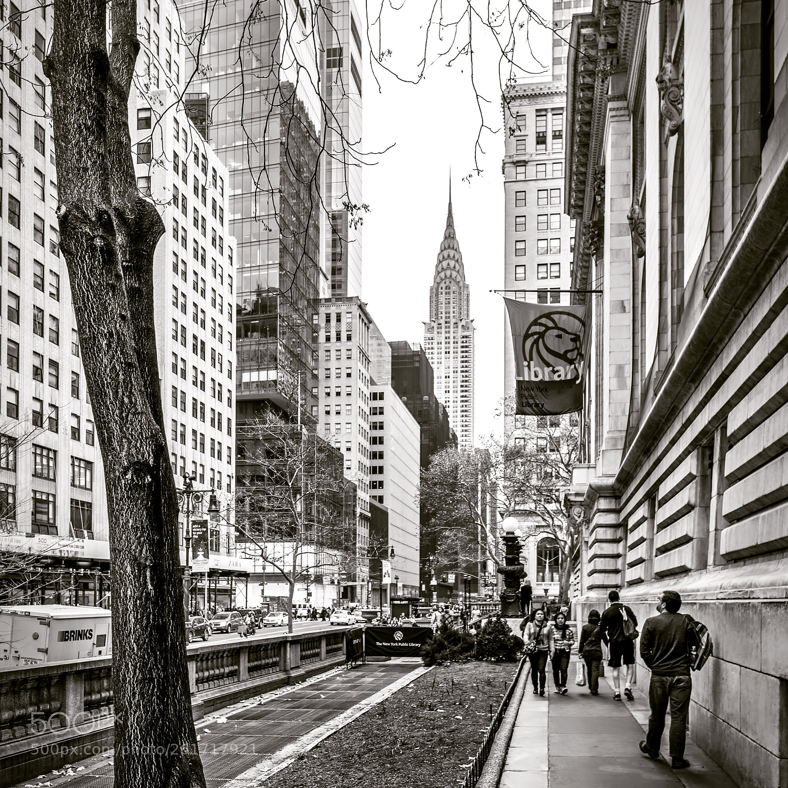 Nikon D610 sample photo. Untitled photography