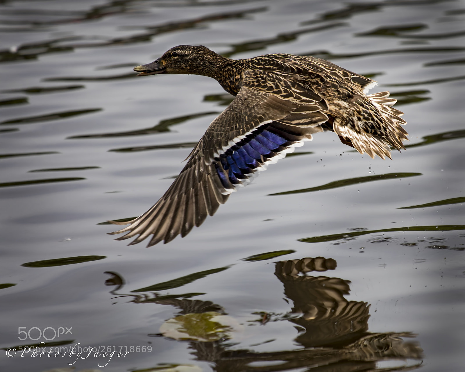 Canon EOS 5D Mark IV sample photo. And we have lift-off photography