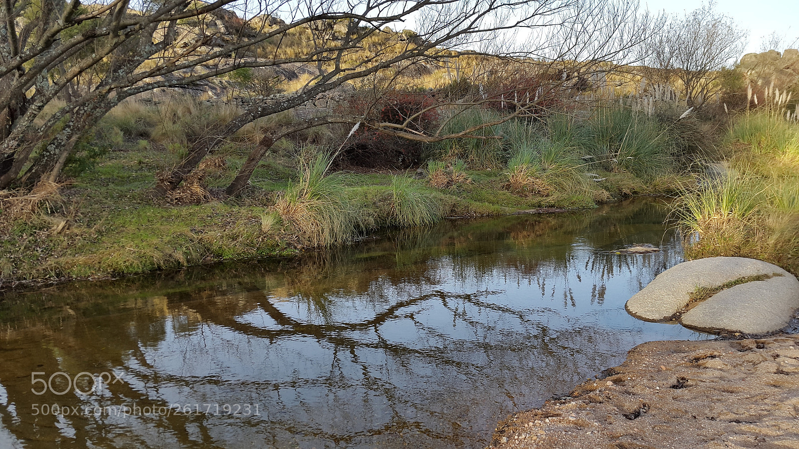 Samsung Galaxy S5 sample photo. Espejo otoñal photography