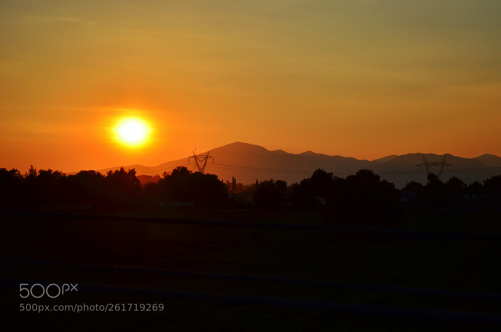 Nikon D5100 sample photo. Untitled photography