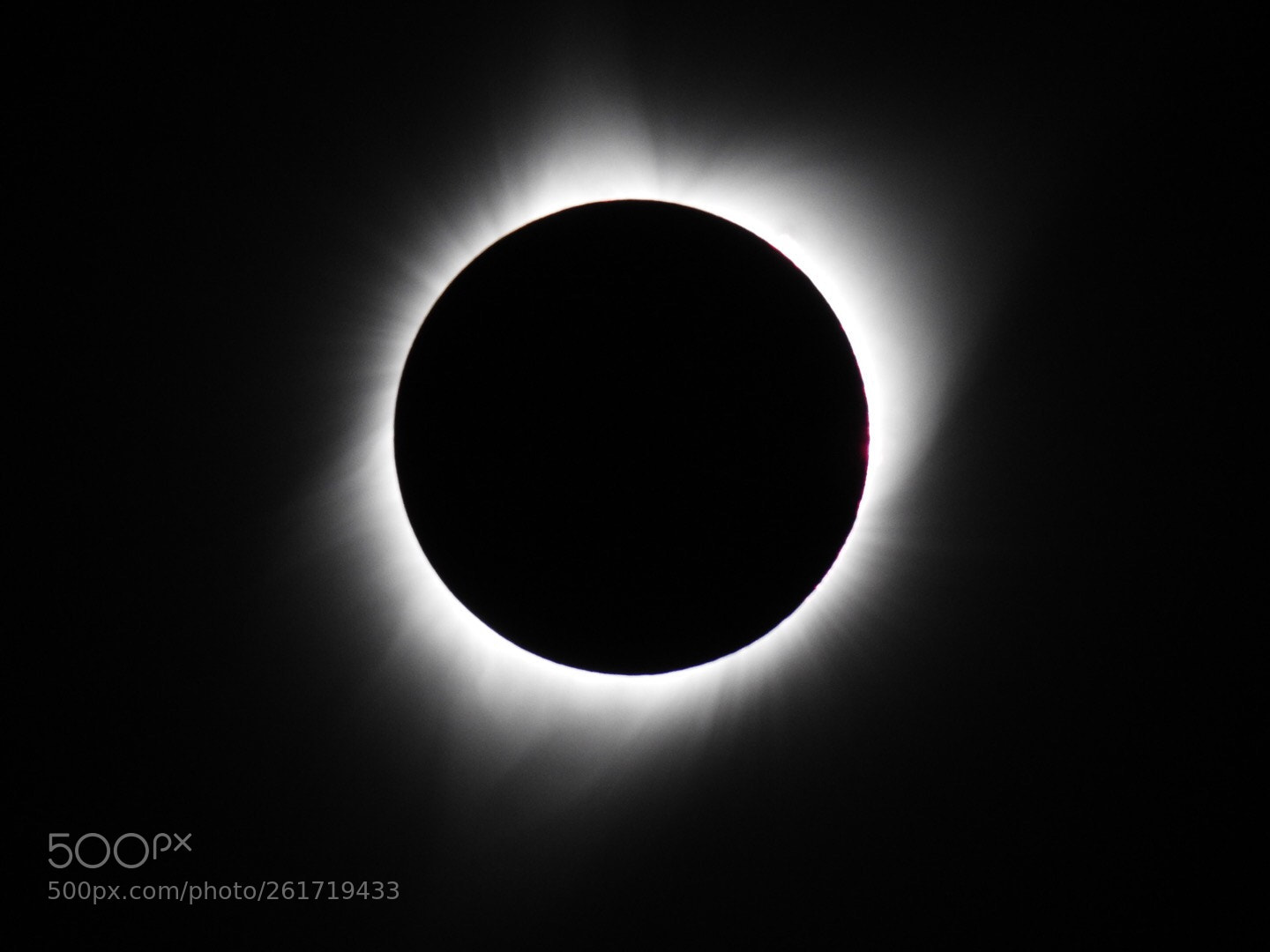 Nikon Coolpix P900 sample photo. Total solar eclipse photography