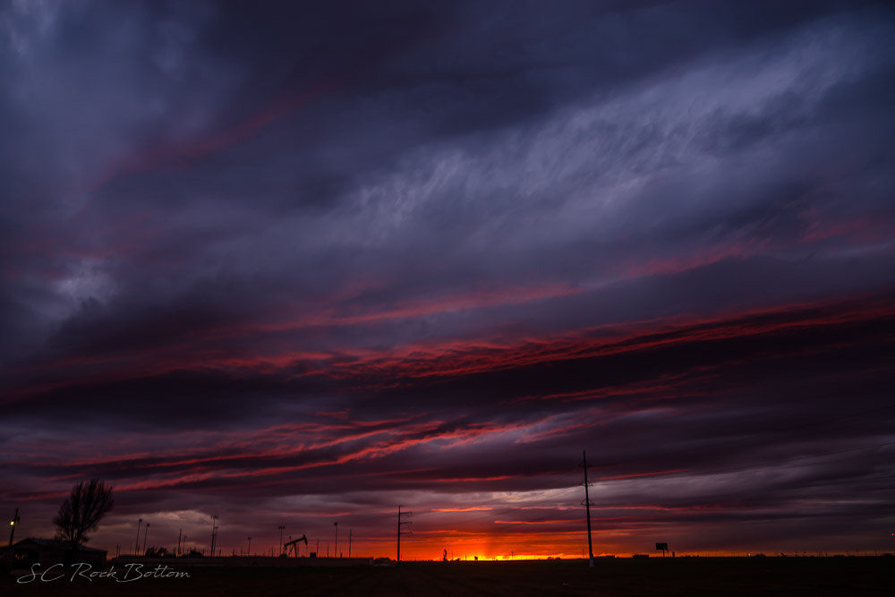 Sony a99 II sample photo. The ranch photography