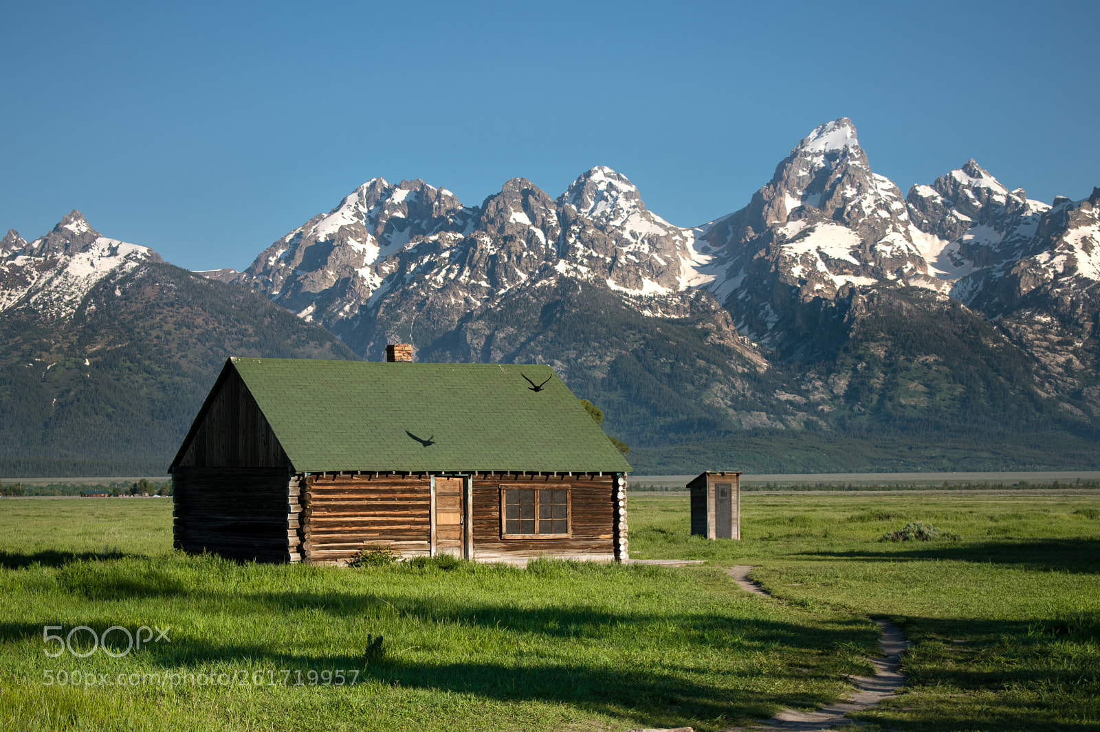 Nikon D5600 sample photo. Mormon row photography