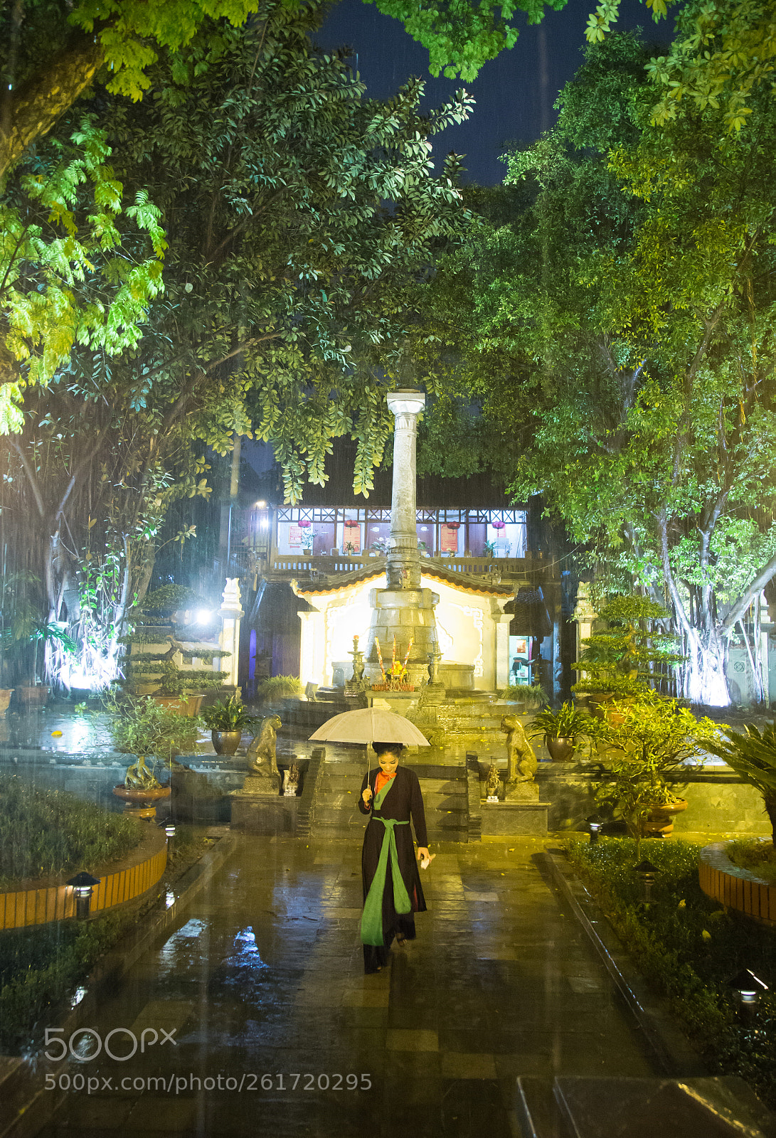 Canon EOS 6D sample photo. In the rain photography