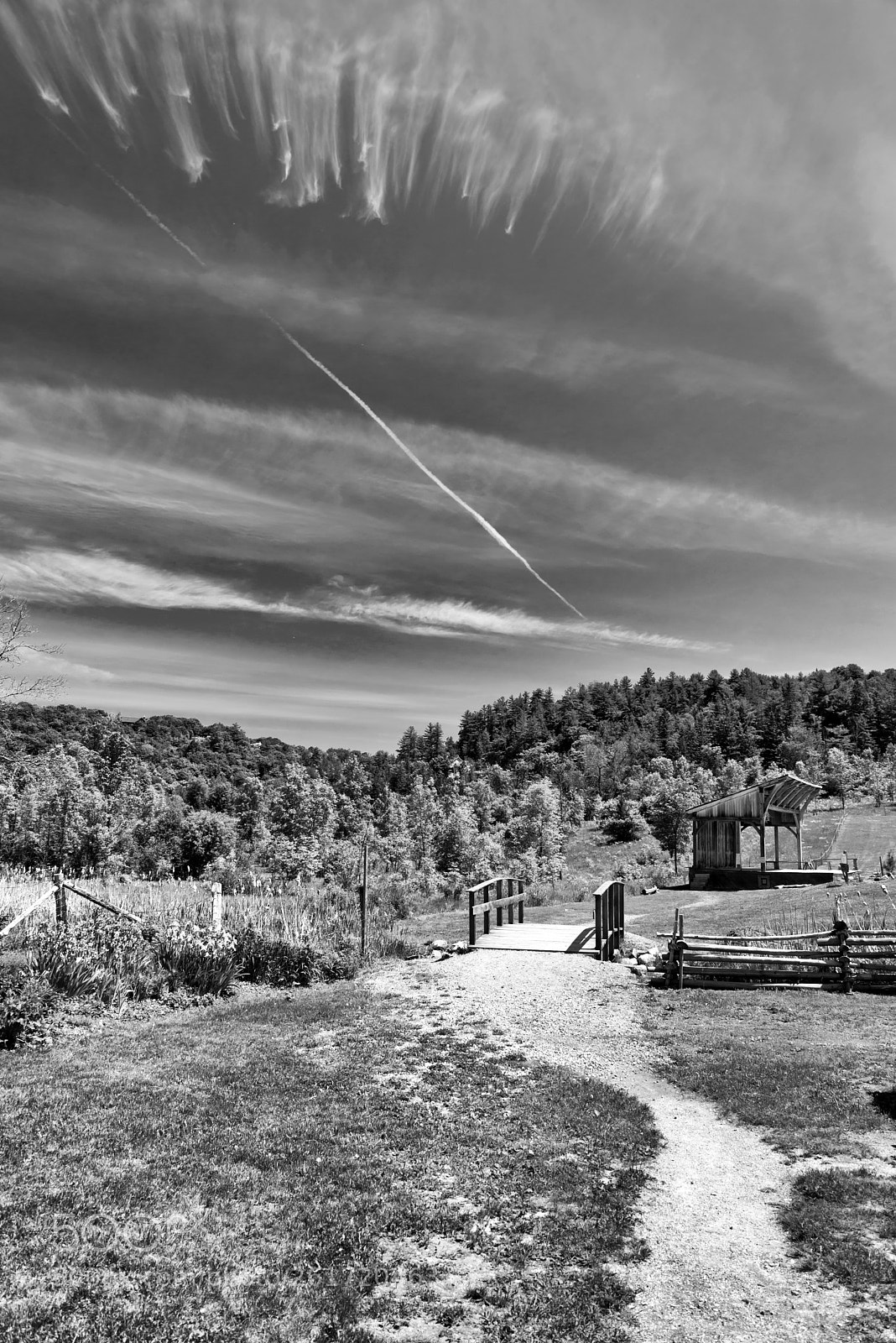 Nikon D610 sample photo. Perspective of canadian spring photography