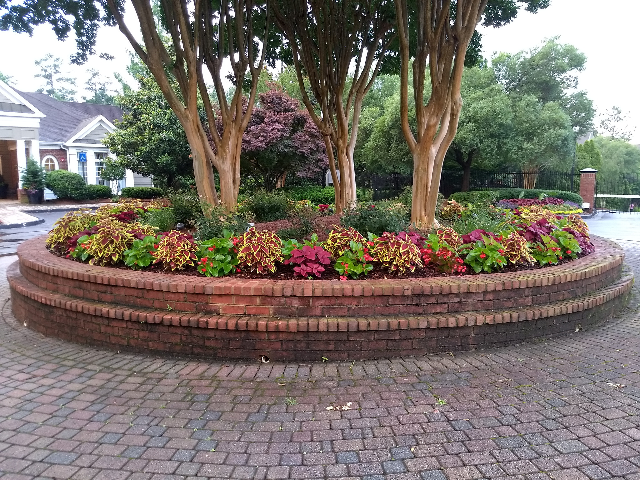 Motorola Moto G (5) Plus sample photo. Flowers photography
