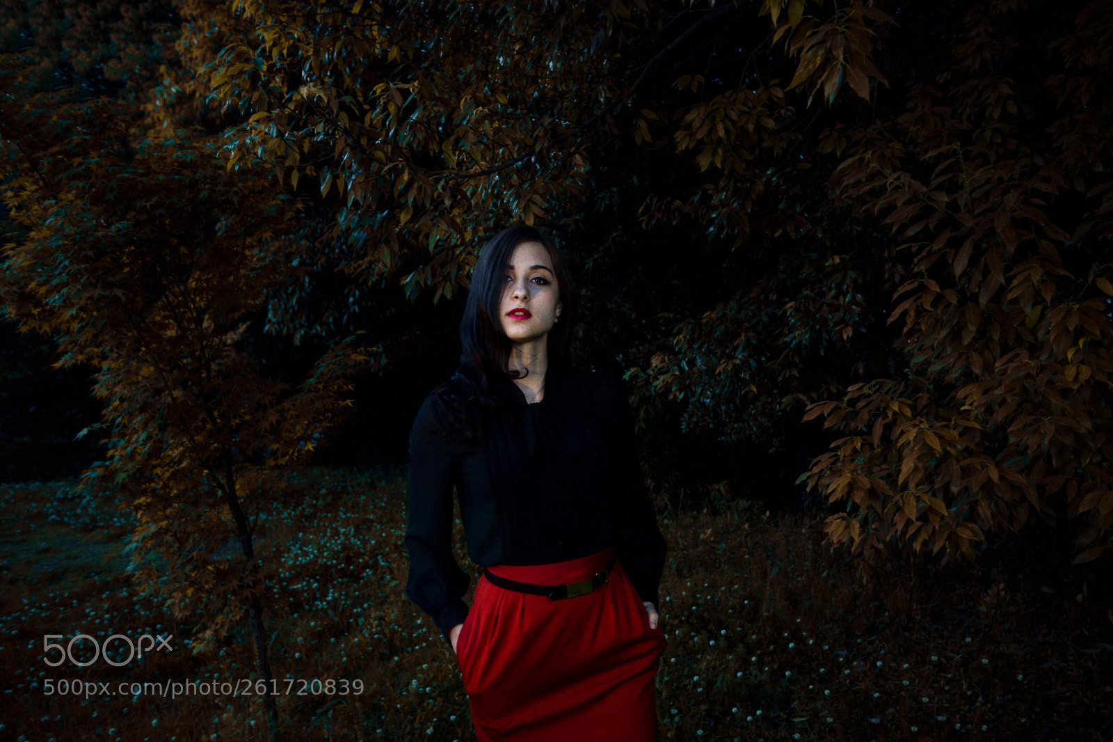 Canon EOS 6D sample photo. Mood photography
