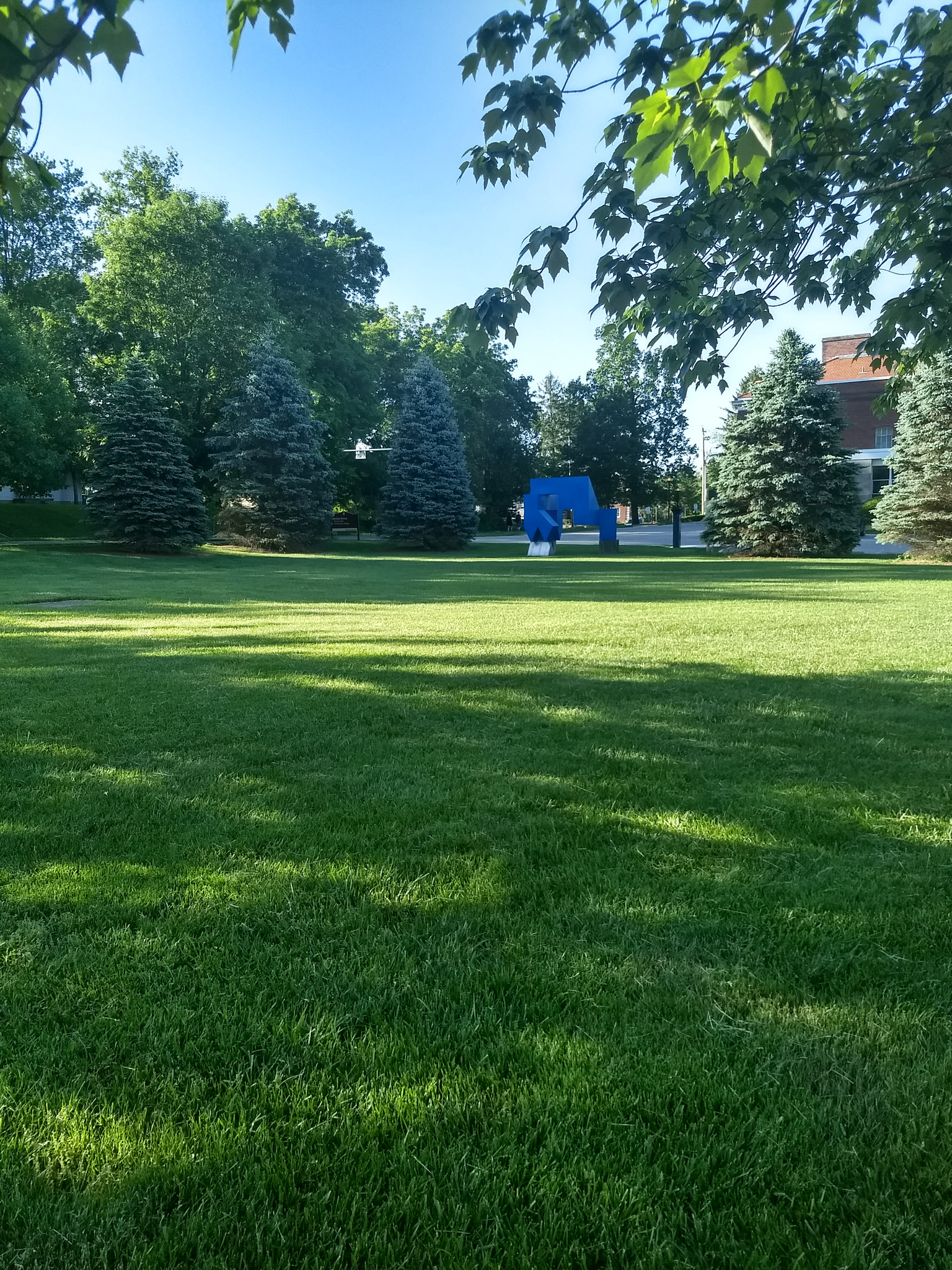 Motorola Moto G (5) Plus sample photo. Blue photography