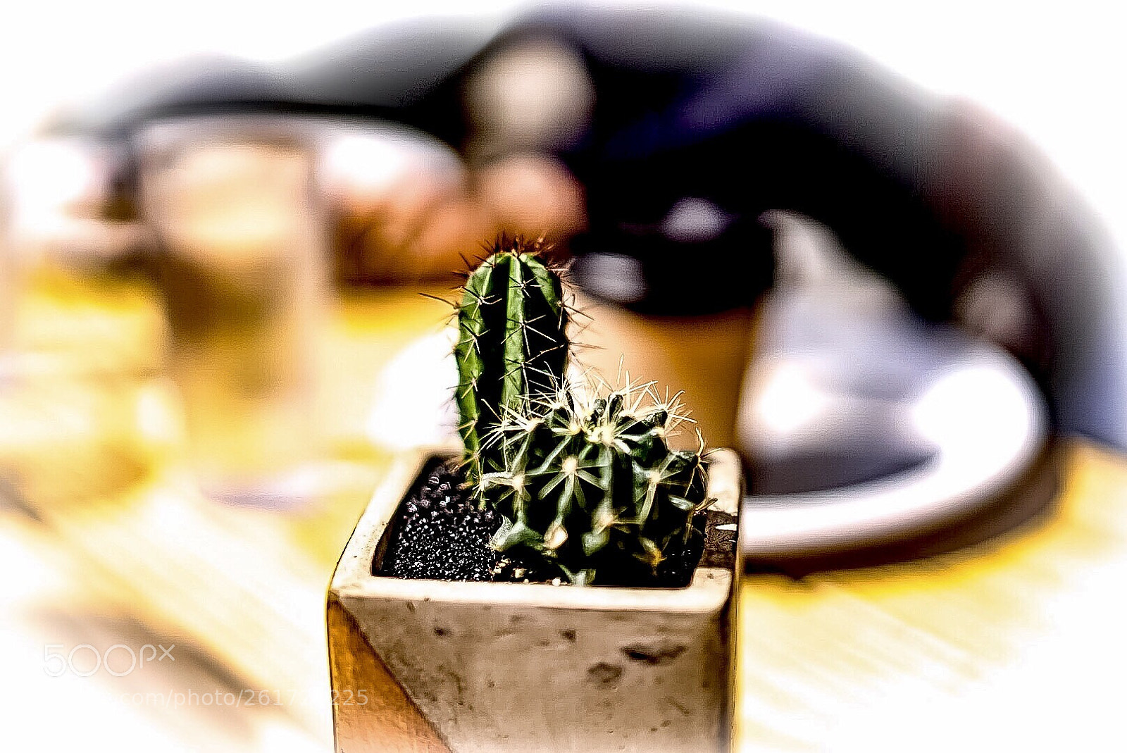 Sony a7 II sample photo. Today’s feature photography