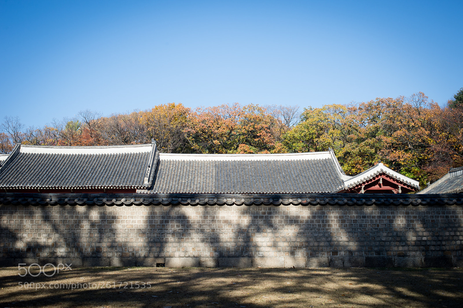 Nikon Df sample photo. Shrine of chosen dynasty photography