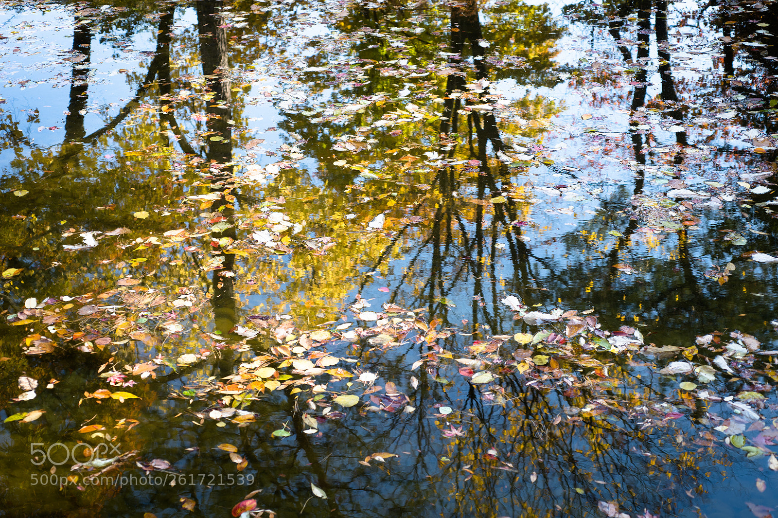 Nikon Df sample photo. Shrine of chosen dynasty photography