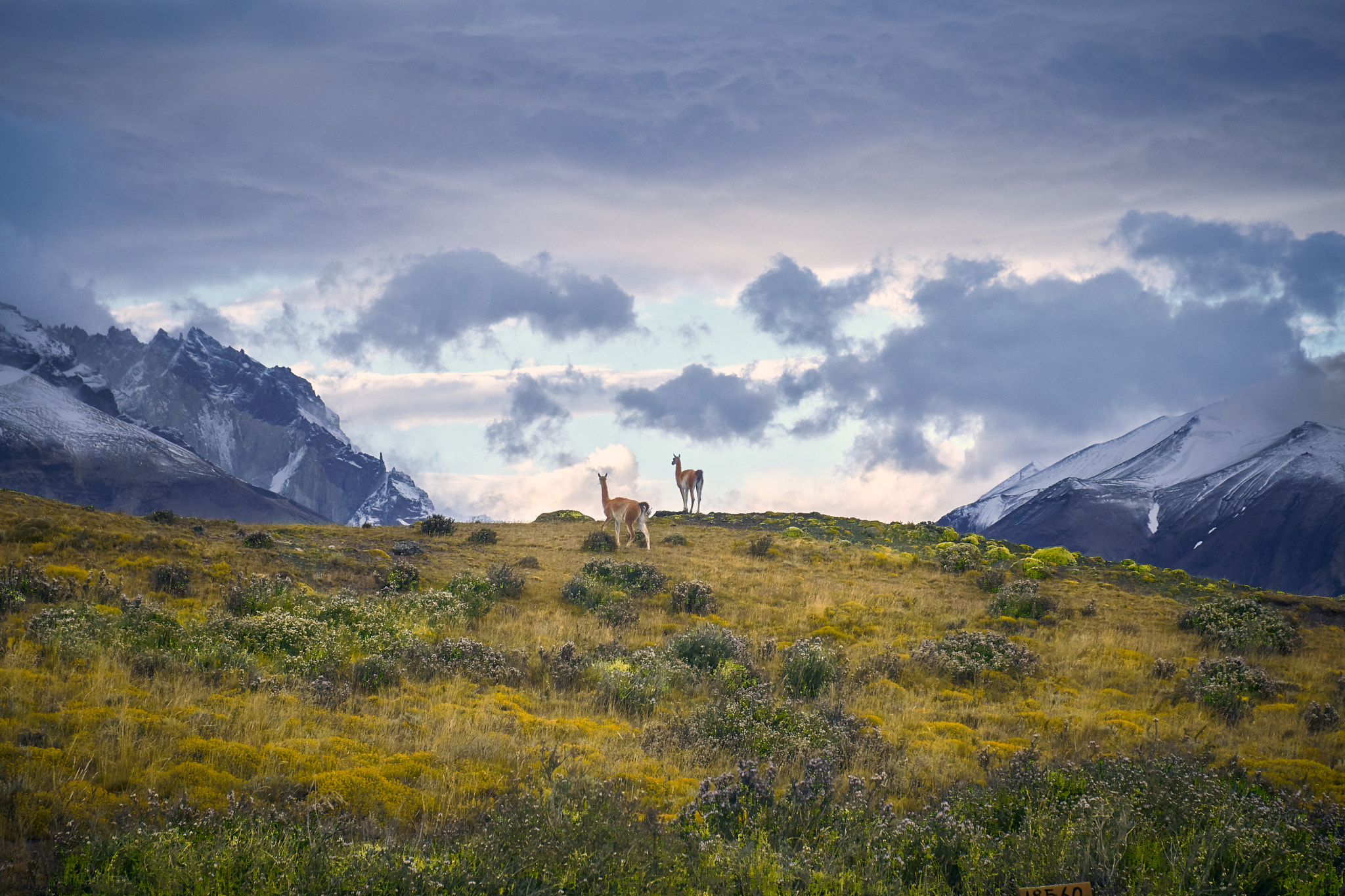Sony a6500 sample photo. On a long hike photography