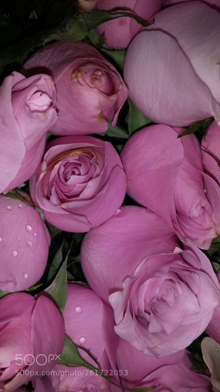 Samsung Galaxy S4 sample photo. Happy june photography