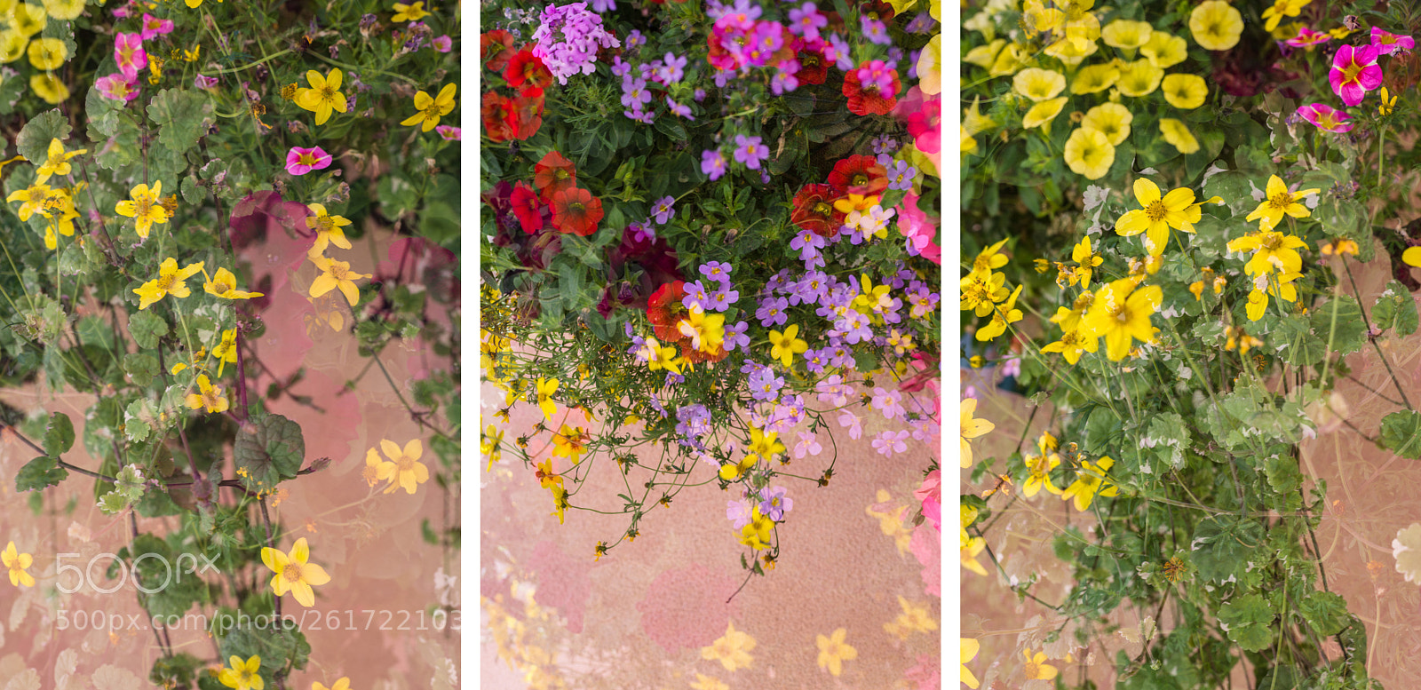Nikon D610 sample photo. Three words photography