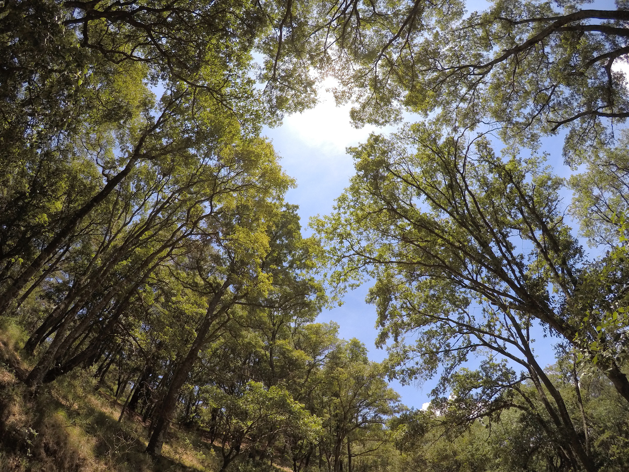 GoPro Hero5 Black sample photo. En la nubes photography