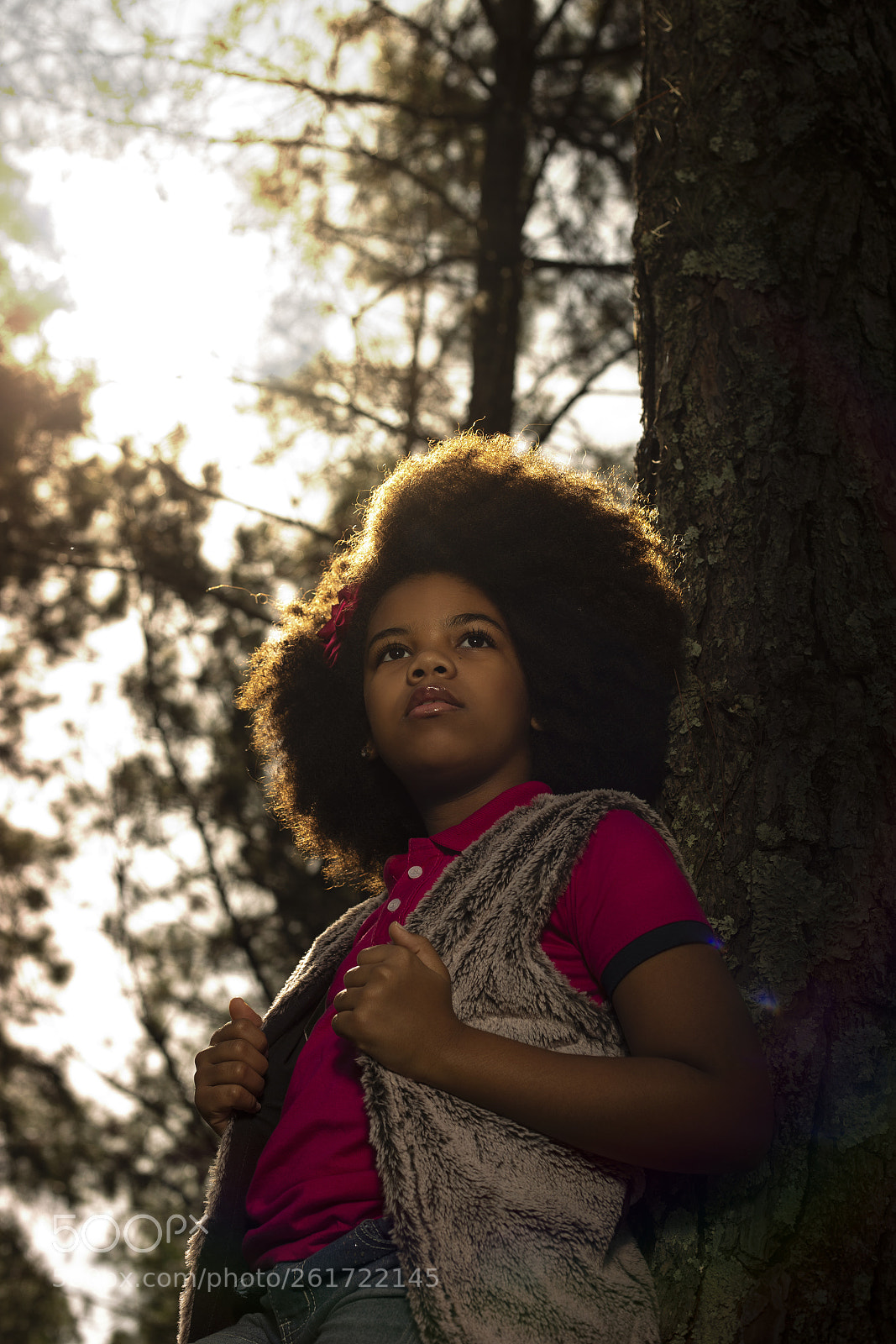 Canon EOS 6D sample photo. Sol photography
