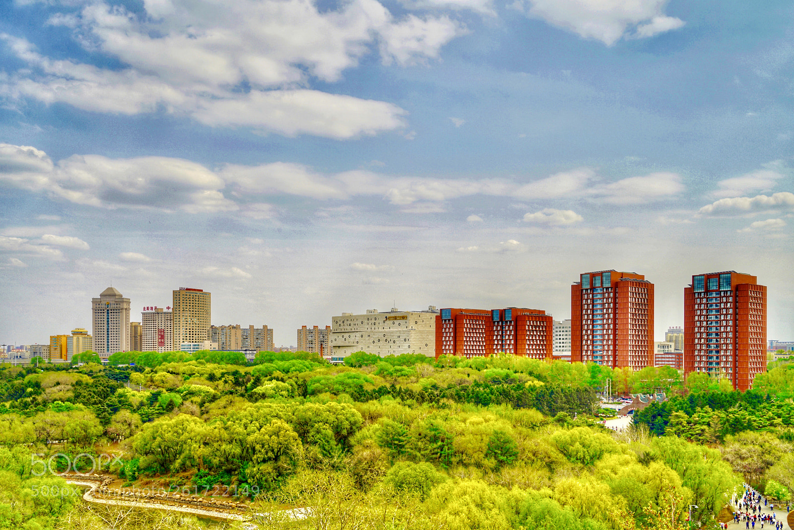 Sony a7R II sample photo. ┈colour ┈ photography