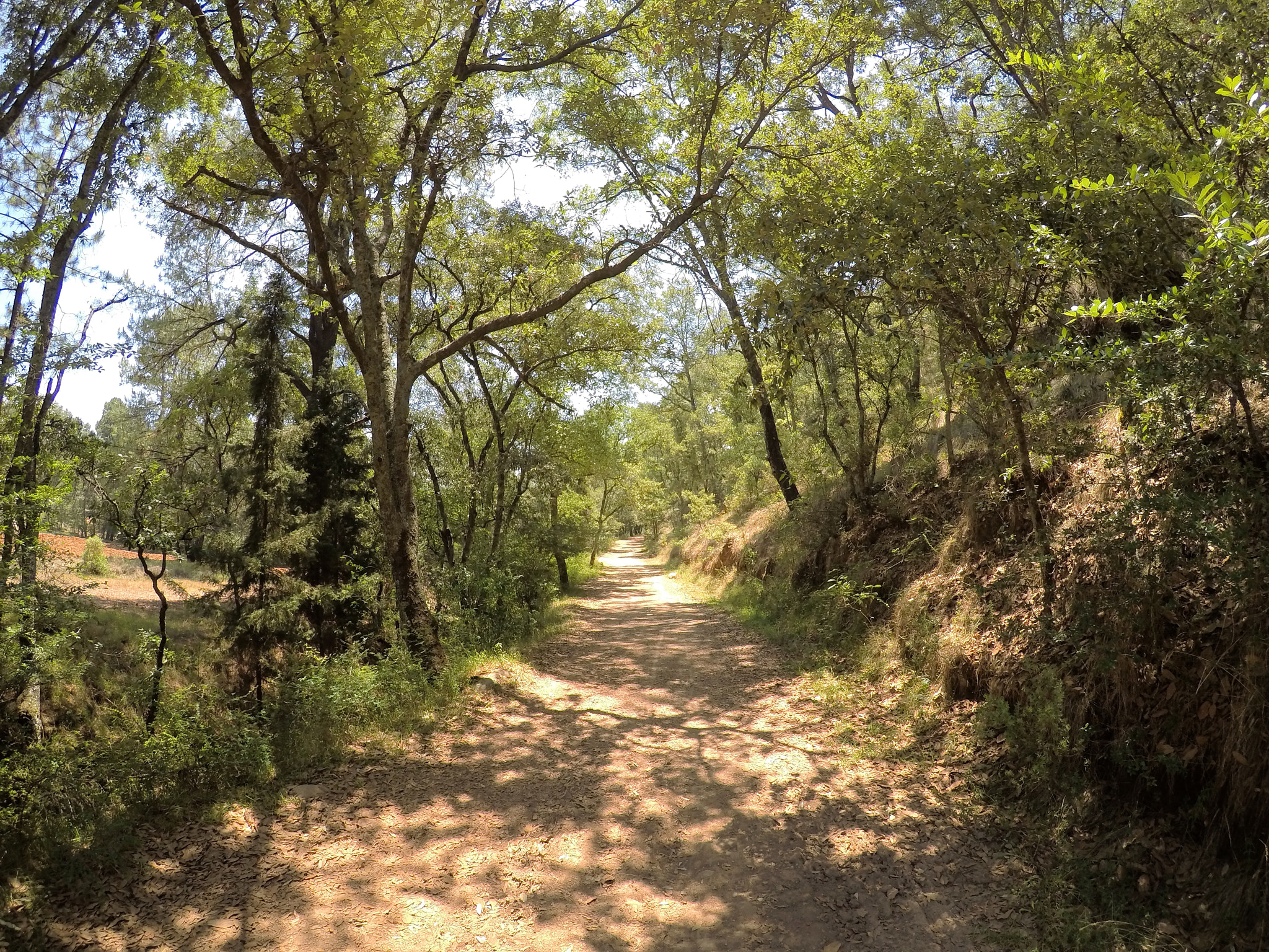 GoPro Hero5 Black sample photo. Camino hacia ti photography