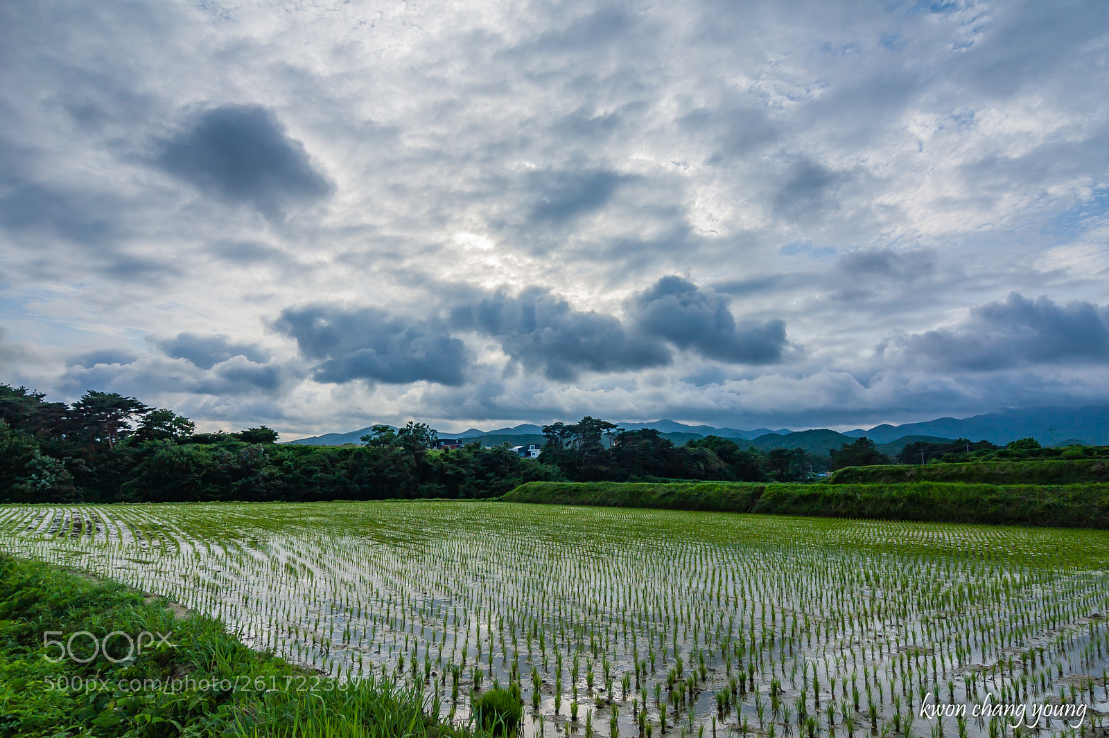 Canon EOS 30D sample photo. 청하 들판 photography