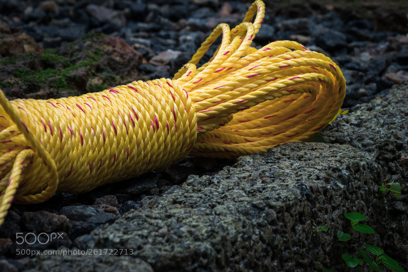 Canon EOS 80D sample photo. Rope photography