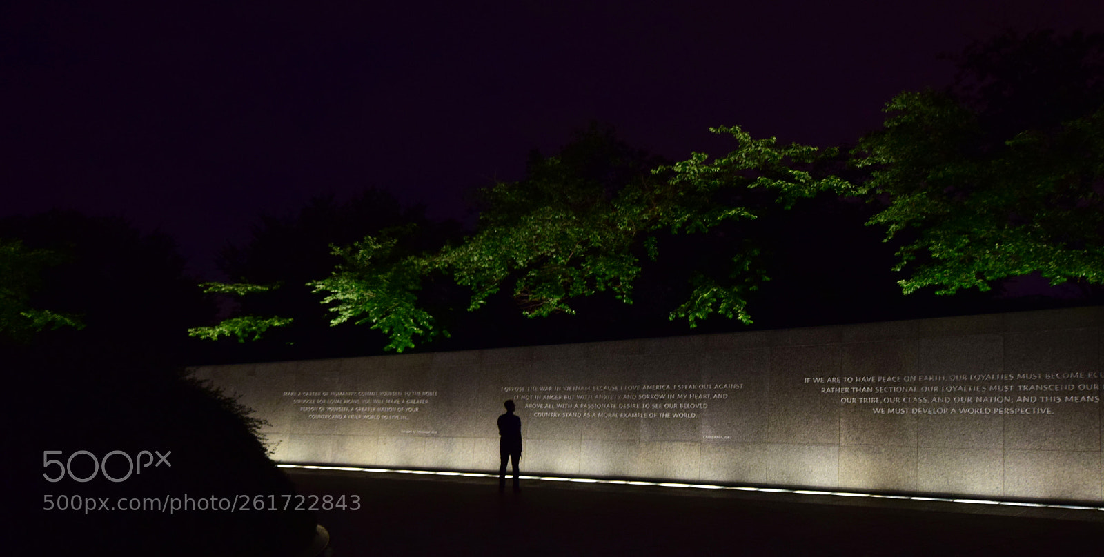 Nikon D5300 sample photo. Mlk memorial photography