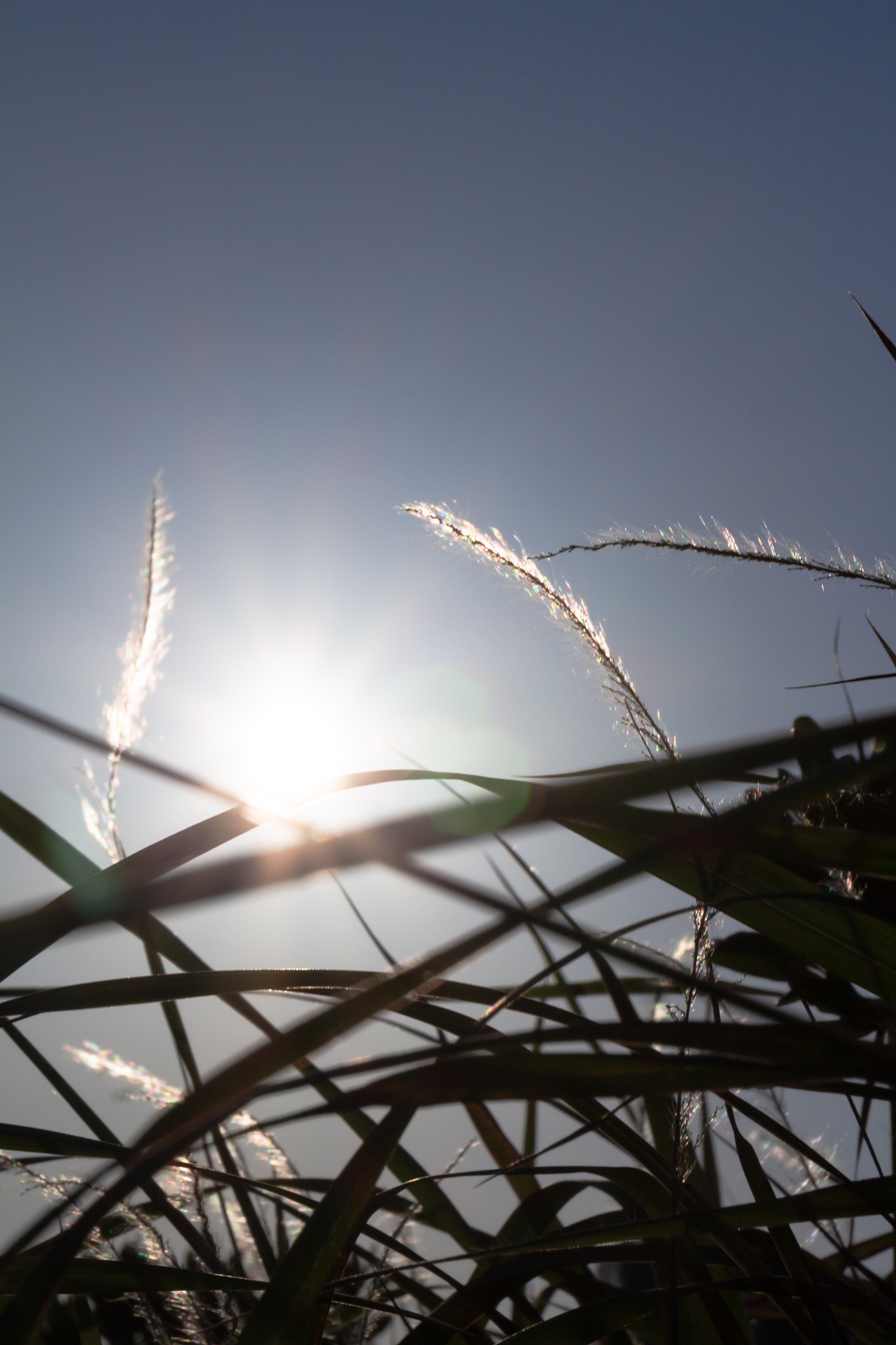 Canon EOS 650D (EOS Rebel T4i / EOS Kiss X6i) sample photo. Sunset photography