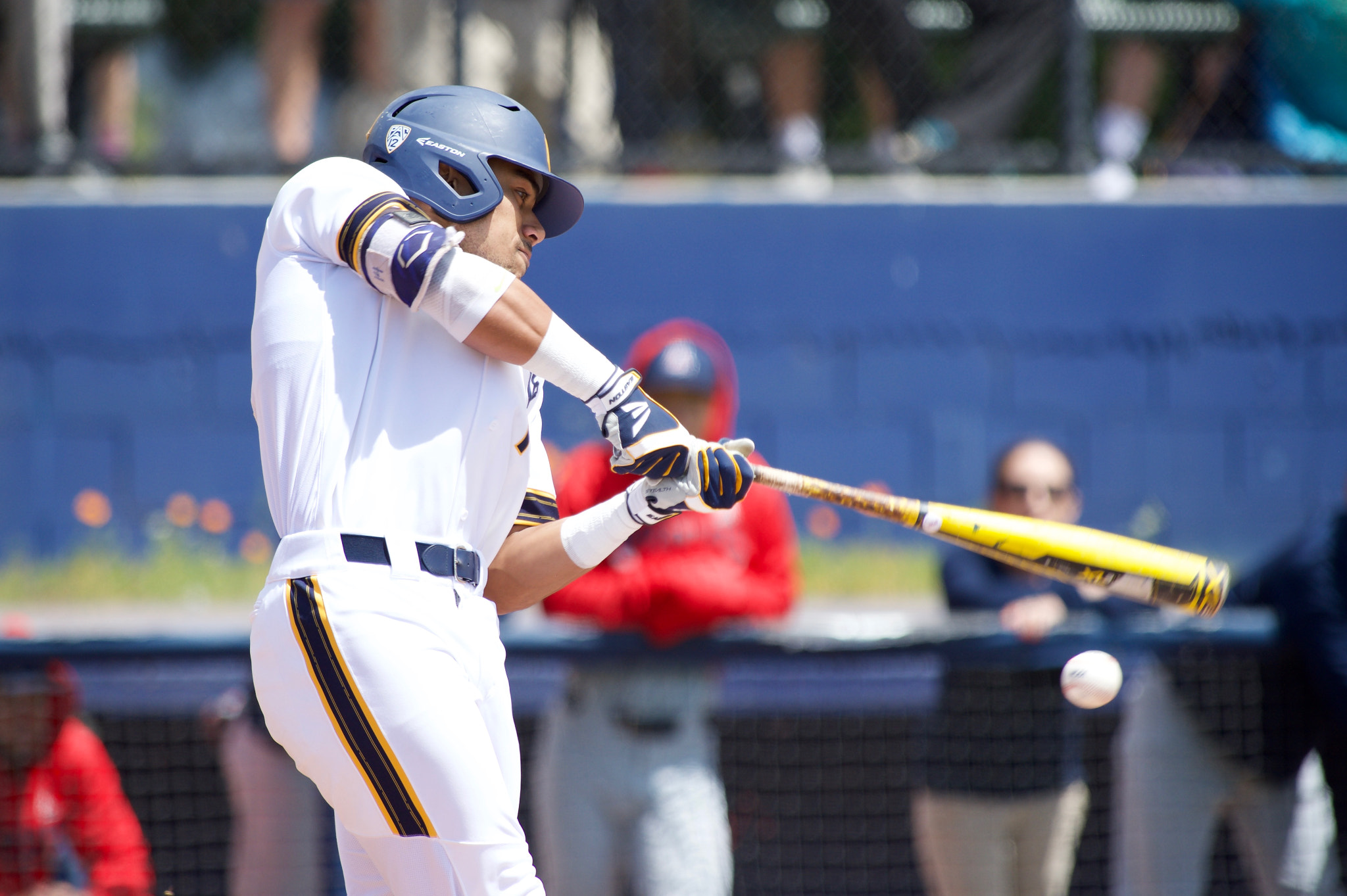 Nikon D4S sample photo. Foul ball photography