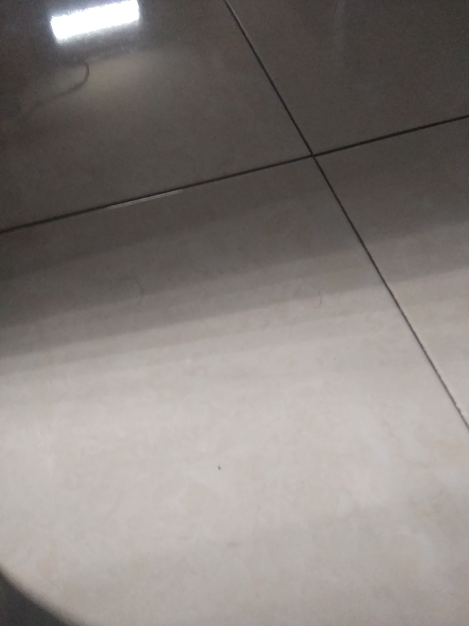 Xiaomi Redmi 5A sample photo