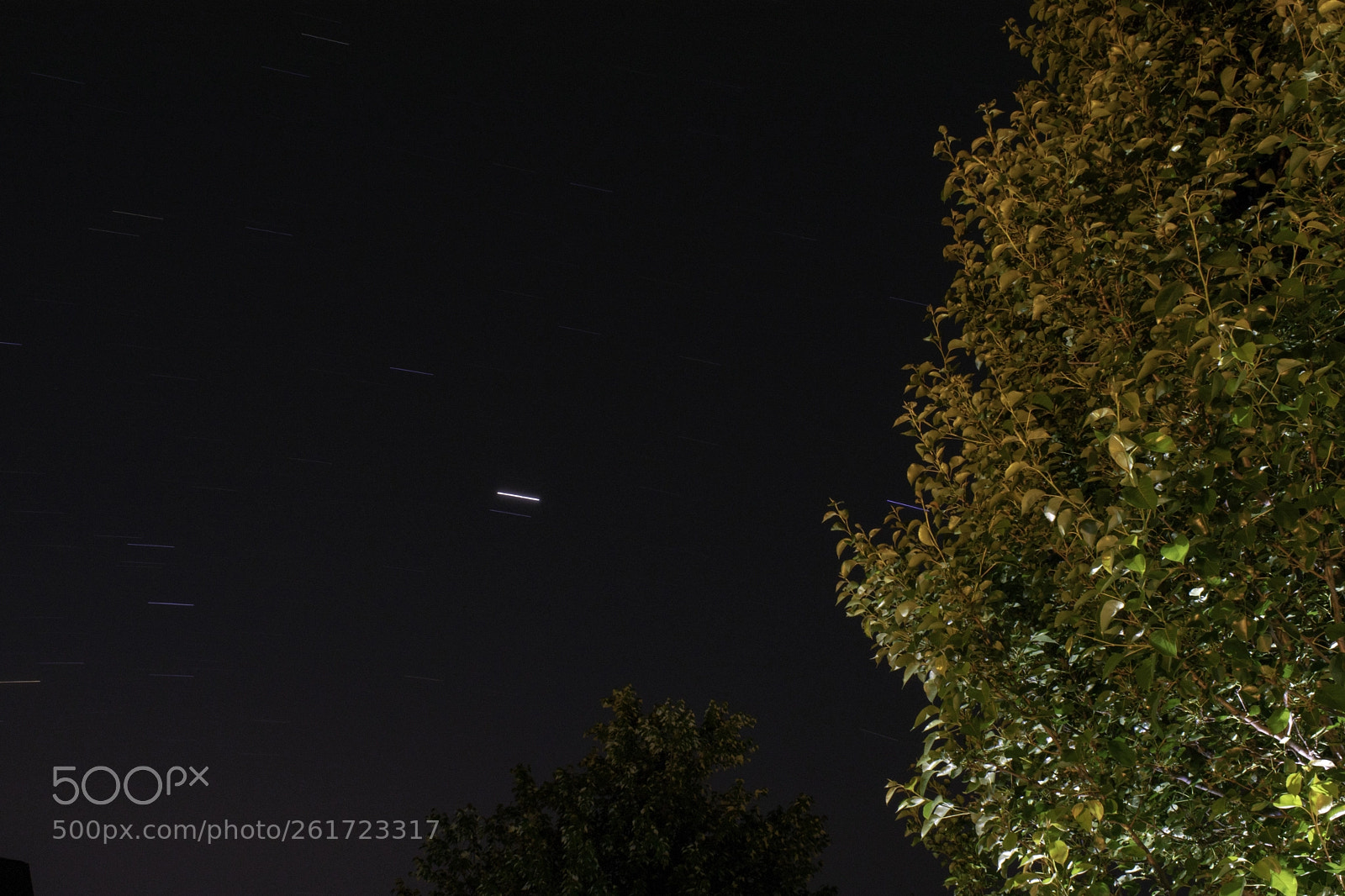 Nikon D3300 sample photo. Star trail v photography
