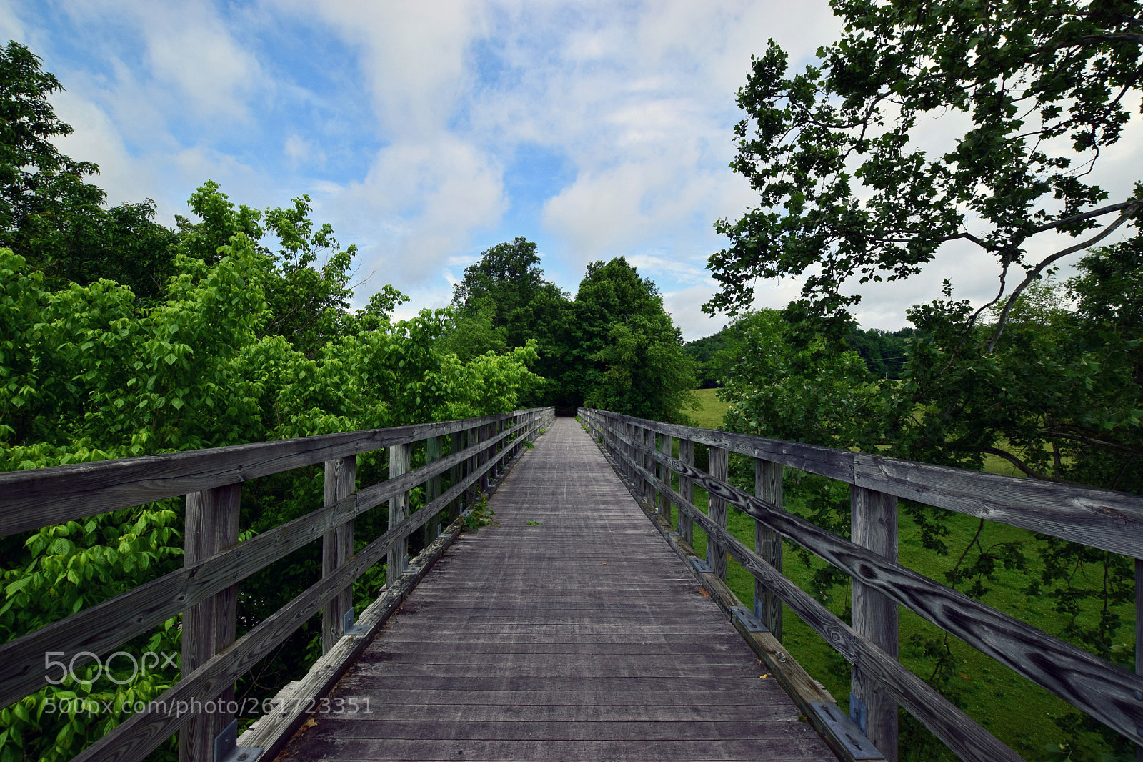 Nikon D5300 sample photo. Creeper trestle photography