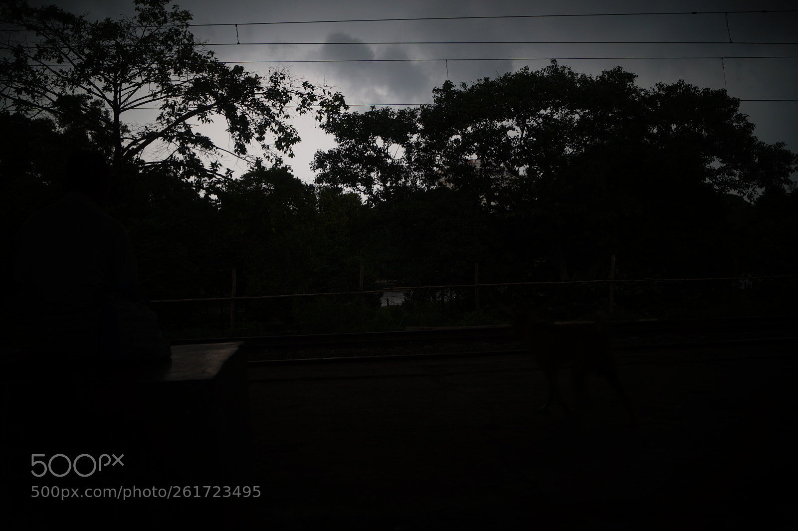Sony SLT-A58 sample photo. Untitled photography