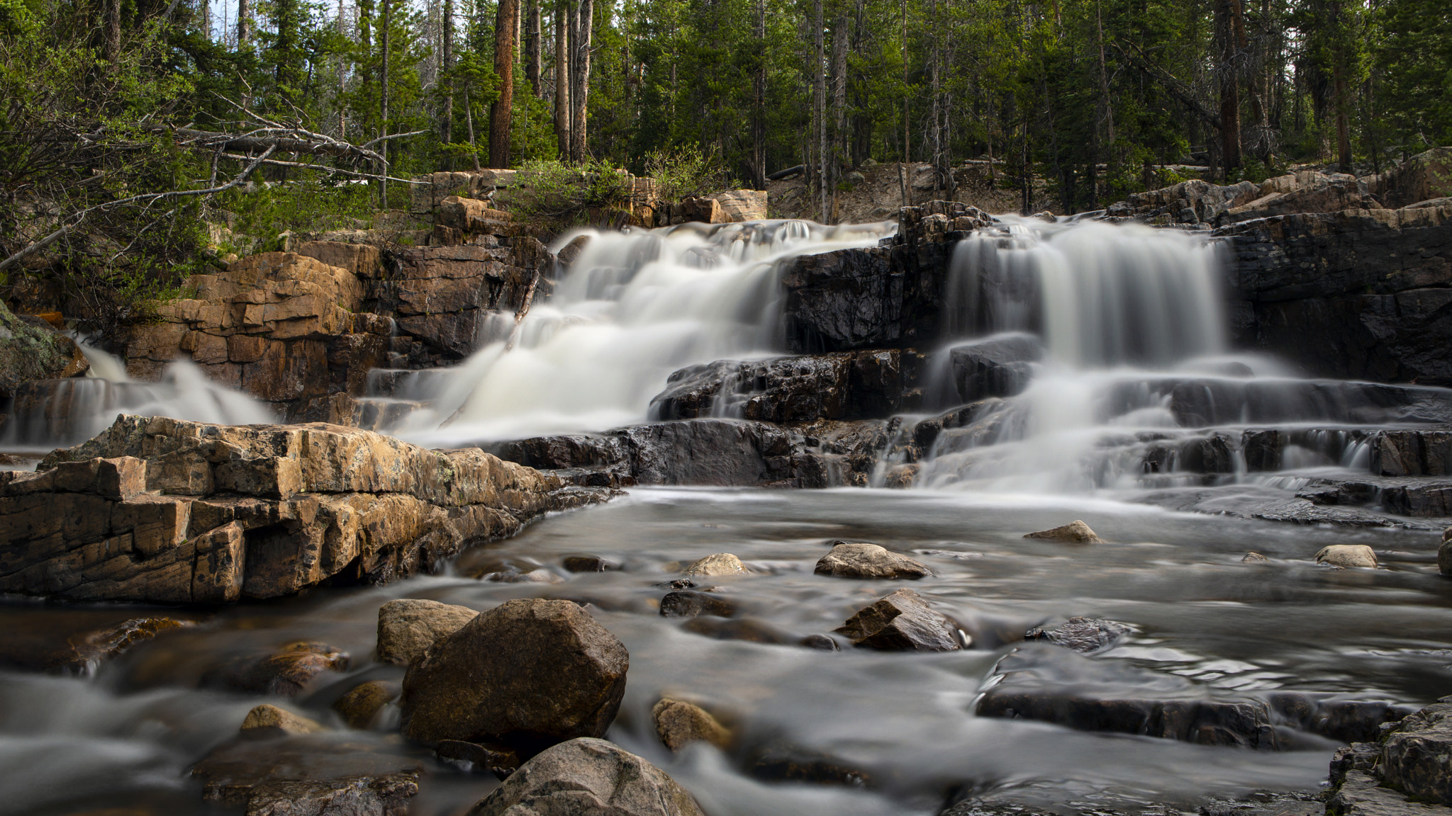 Olympus OM-D E-M5 sample photo. Provo river, uintah national forest photography