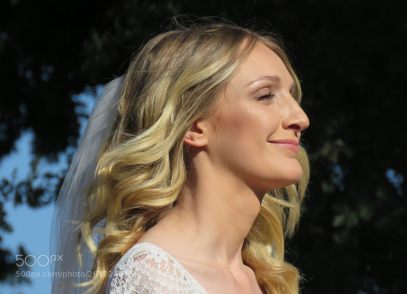 Canon PowerShot SX60 HS sample photo. A bride's contentment photography