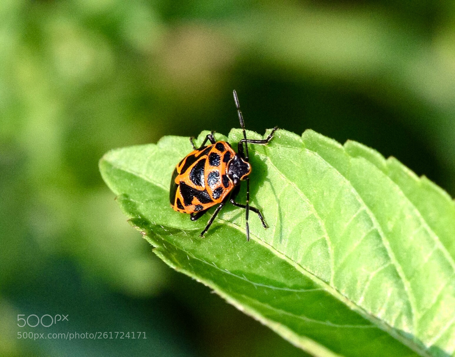 Nikon D3300 sample photo. Untitled photography