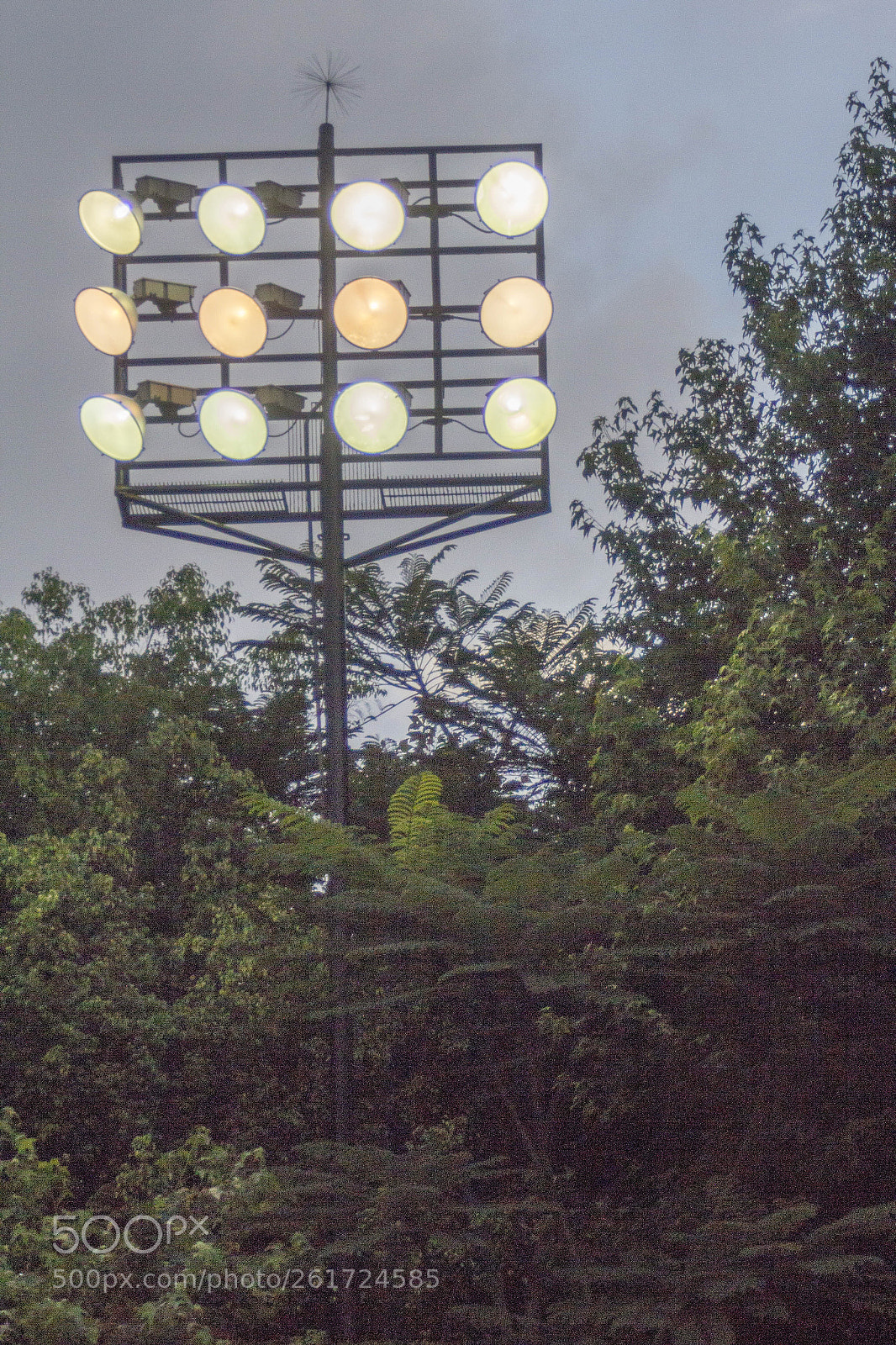 Canon EOS 60D sample photo. Gamelights photography