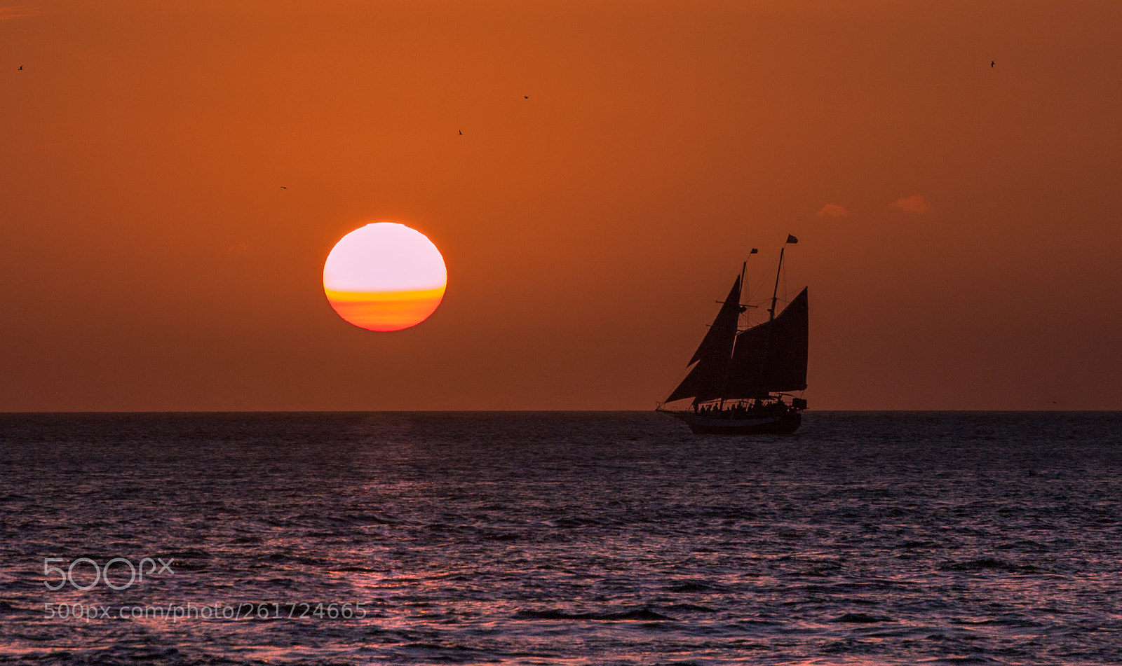 Canon EOS 5D Mark II sample photo. Sails in the sunset photography
