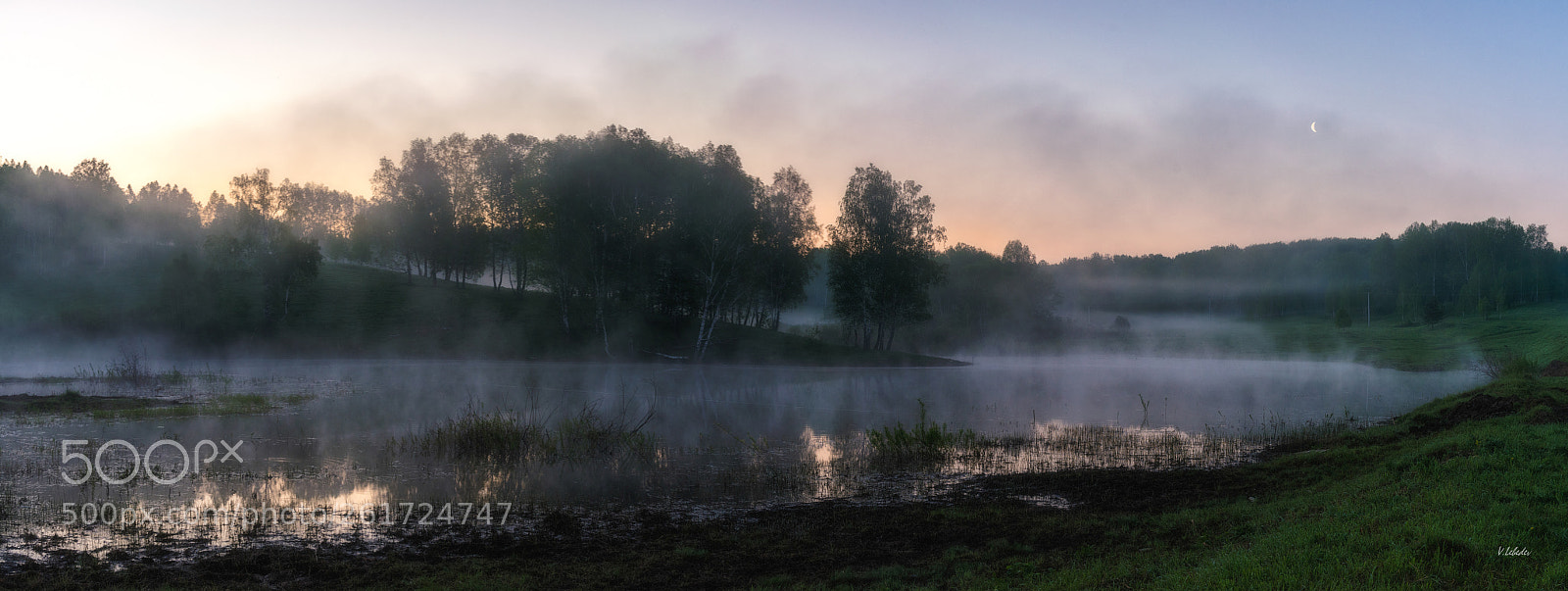 Nikon D600 sample photo. June morning photography
