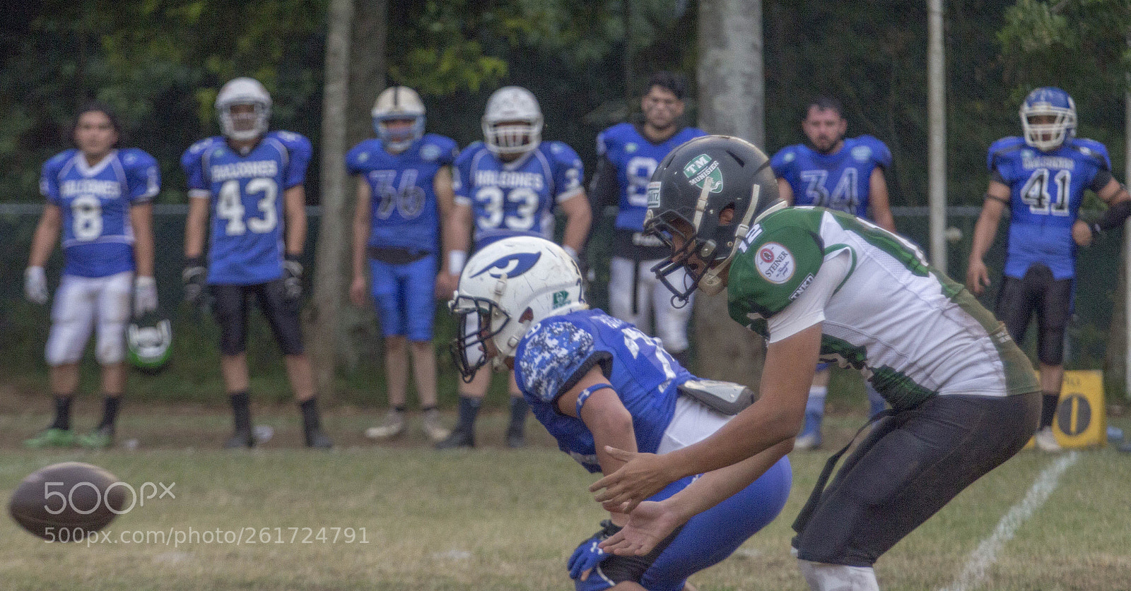 Canon EOS 60D sample photo. Down  photography