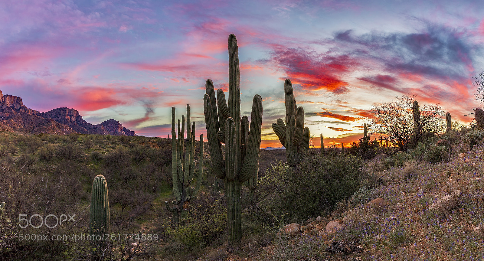 Canon EOS 5DS sample photo. Hot & dry photography