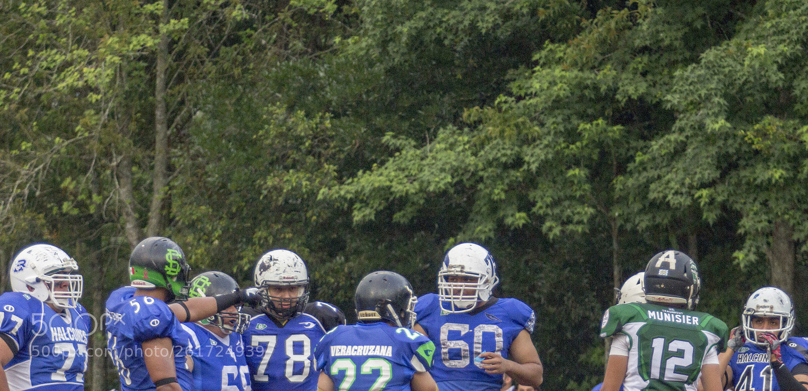Canon EOS 60D sample photo. Players and lifepals photography