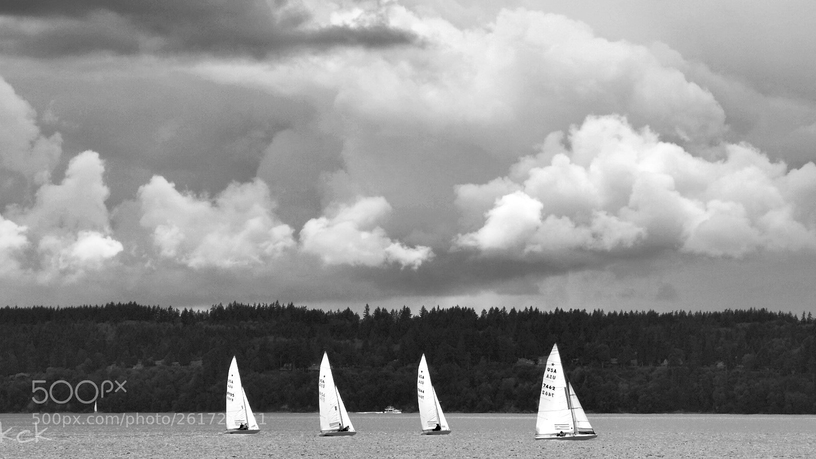 Olympus OM-D E-M10 II sample photo. In the wind. photography