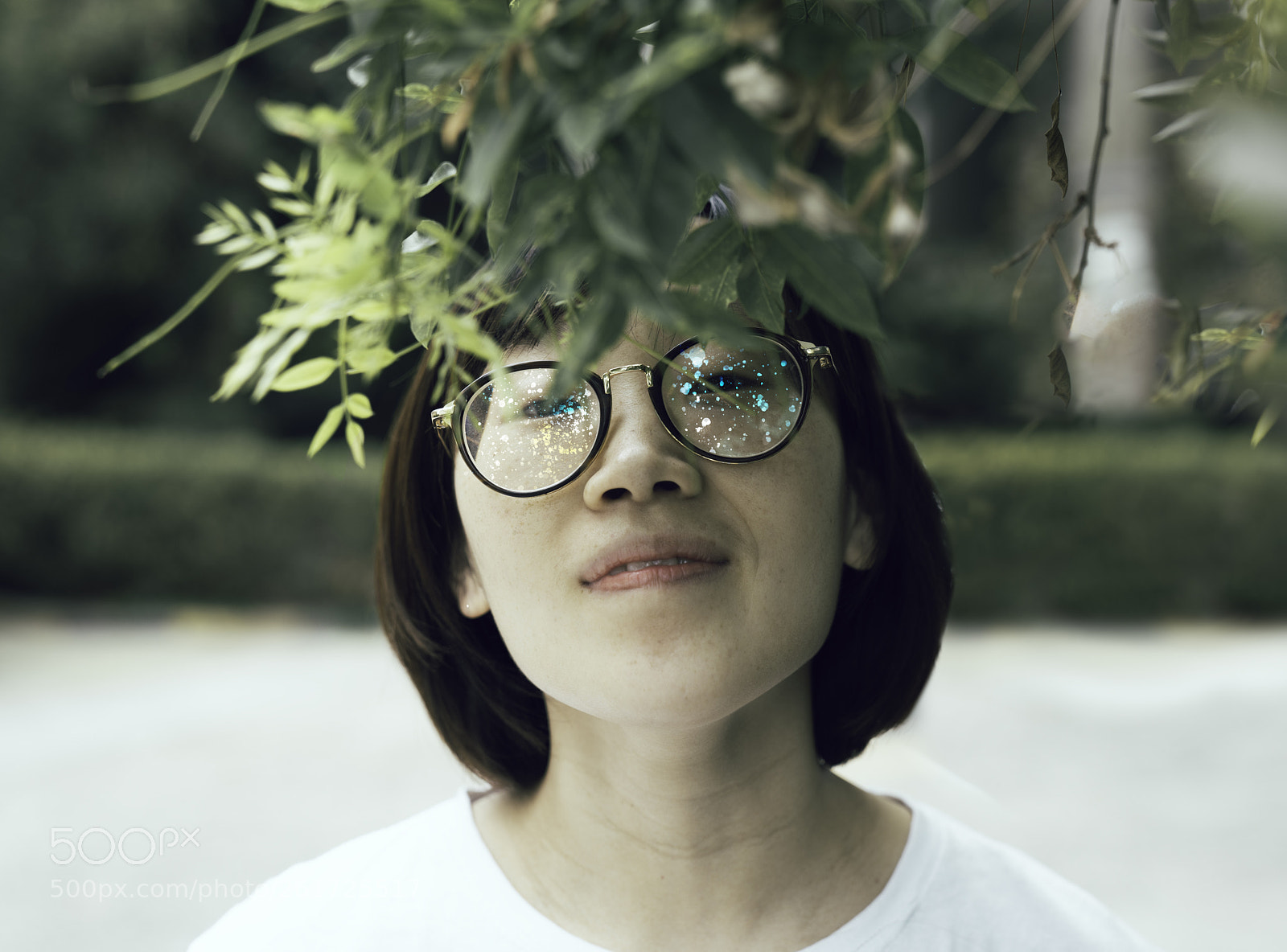 Sony a7R III sample photo. I saw starts in photography