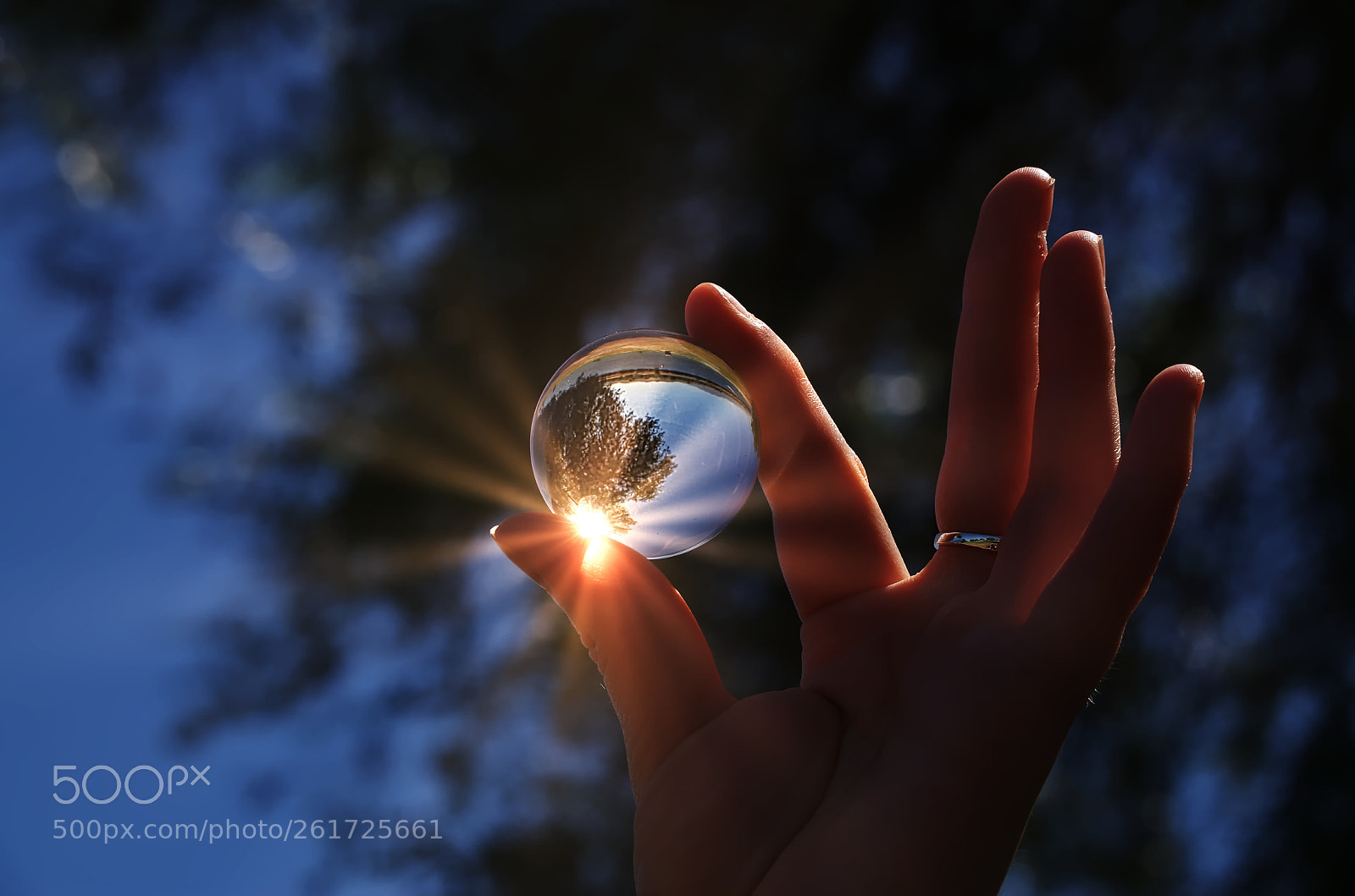 Pentax K-50 sample photo. Sparkle photography
