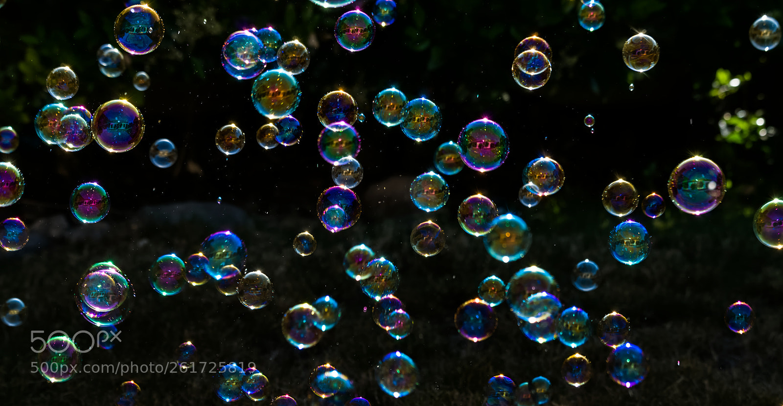 Pentax K-50 sample photo. Bubbles! photography