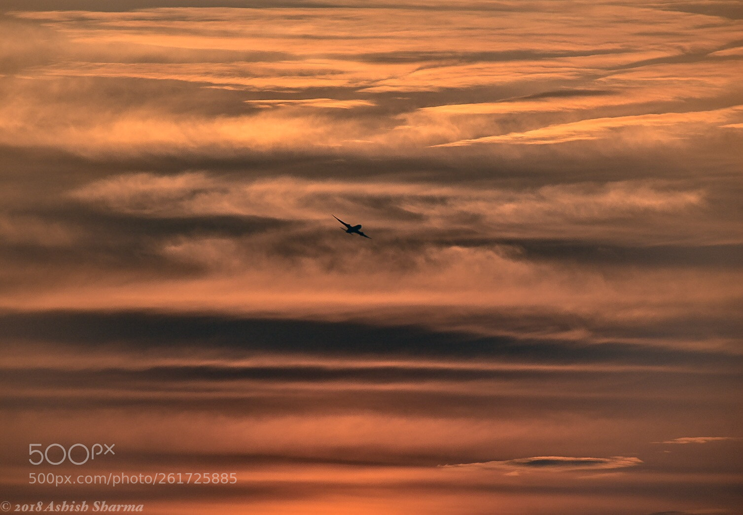 Nikon D5600 sample photo. A distant ship photography