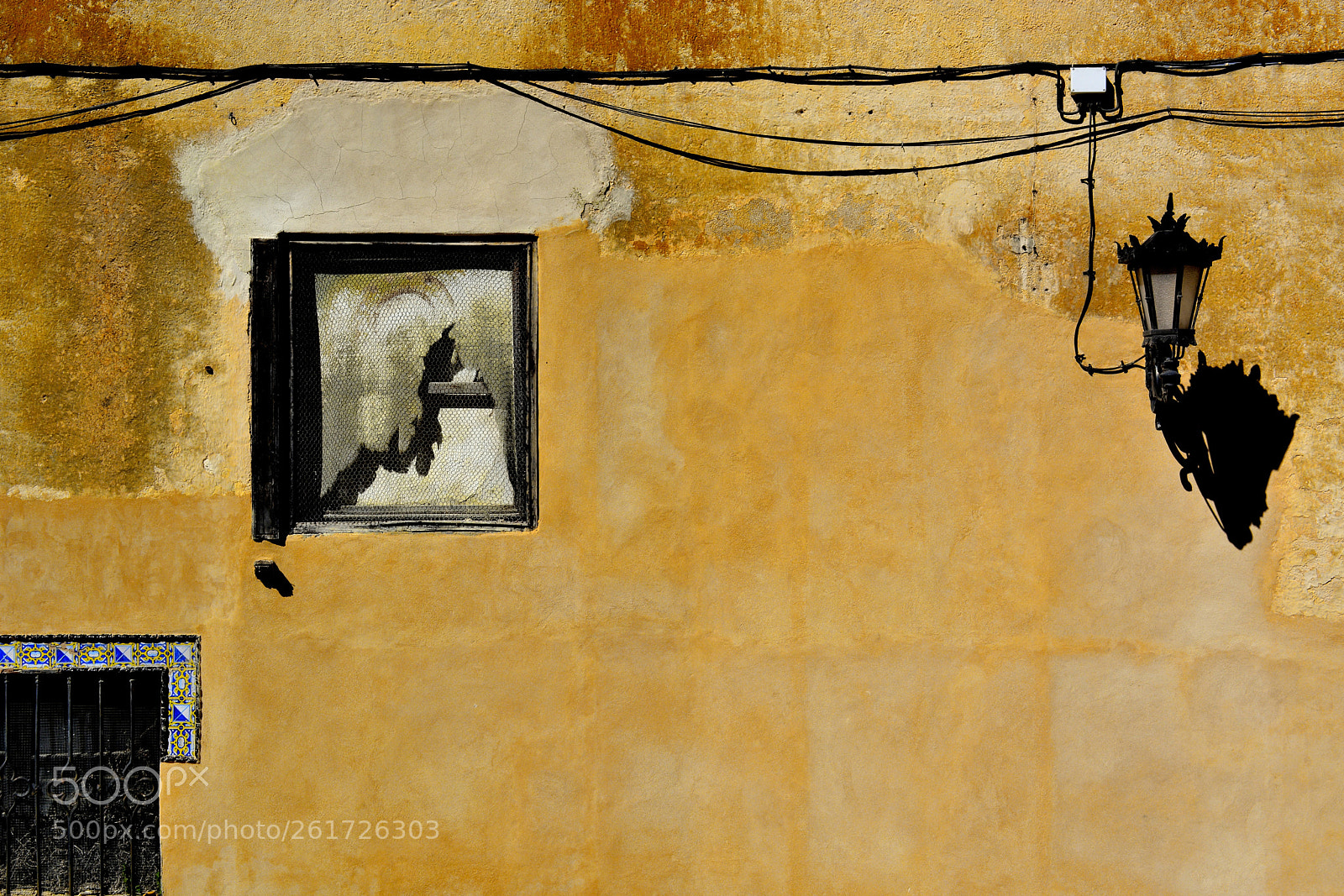 Nikon D5200 sample photo. Yellow haze of the photography