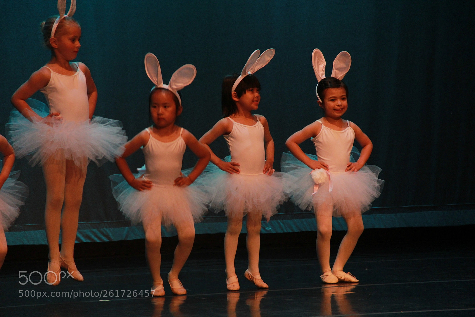 Canon EF-S 18-135mm F3.5-5.6 IS sample photo. Bunnies photography