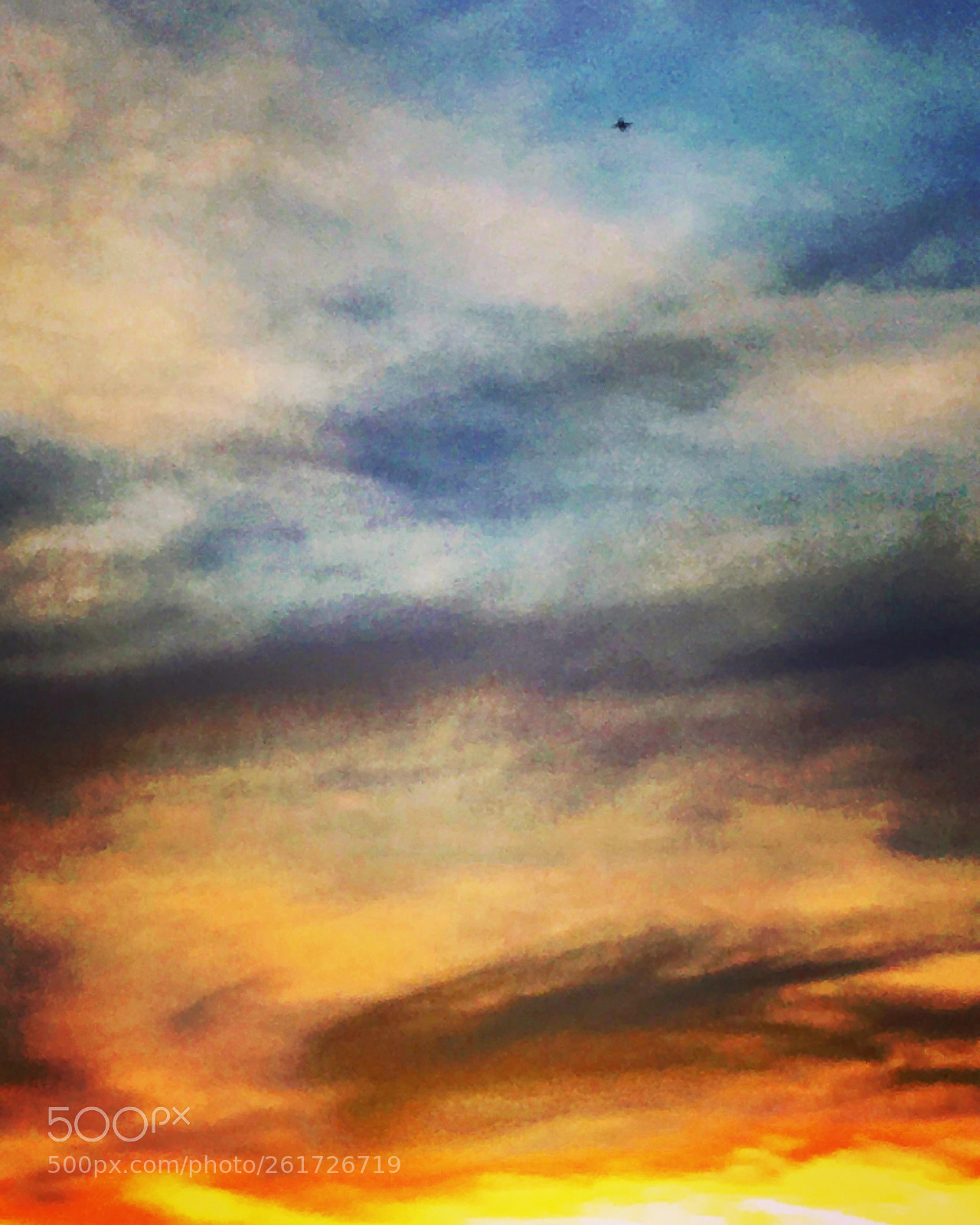 Apple iPhone SE sample photo. Untitled photography
