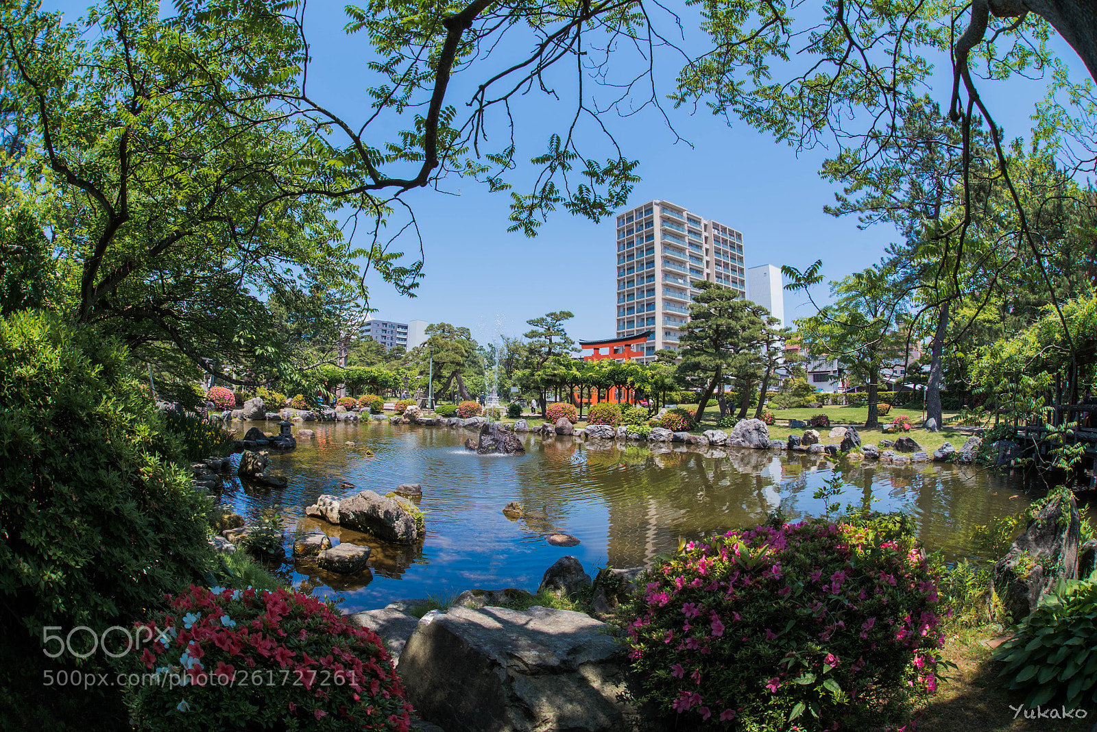 Nikon D750 sample photo. Sunshine photography